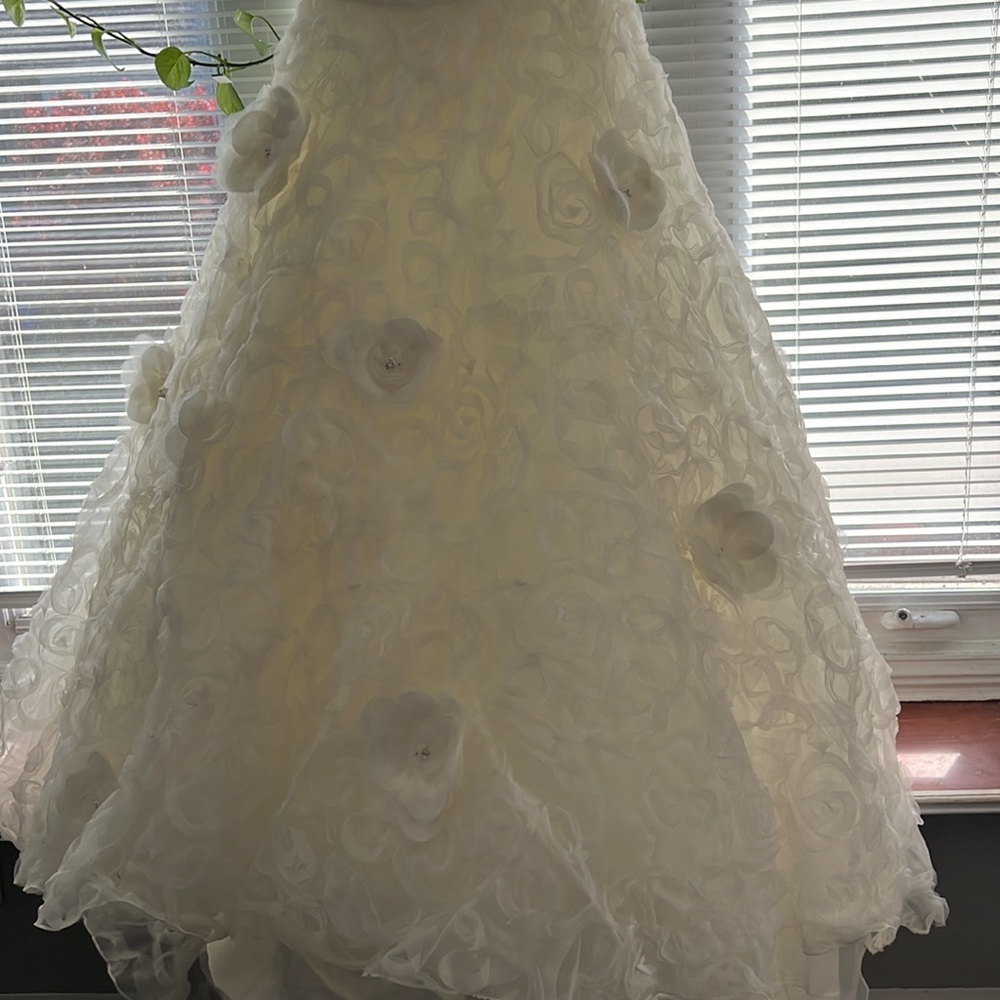 Wedding Dress - Picture 9 of 15